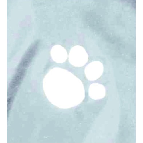Impermeabili per cani Trixie Tarbes