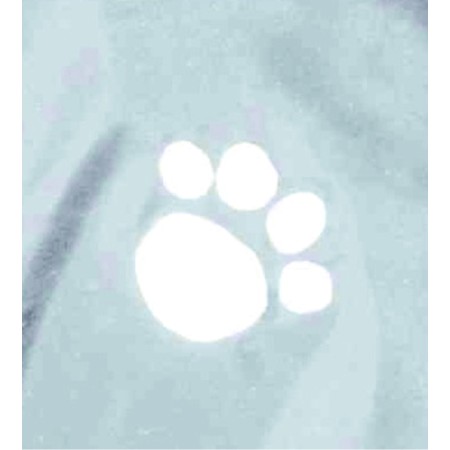 Impermeabili per cani Trixie Tarbes