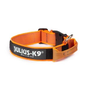 Julius K9 Collare nylon Arancio Orange con maniglia