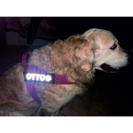 Etichette Riflettenti Personalizzabili per Pettorina imbragatura cane Julius K9