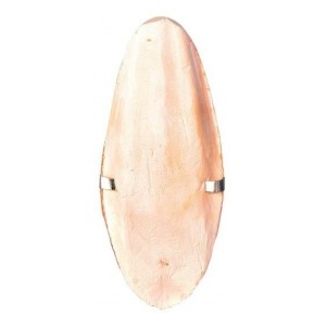 Osso di seppia