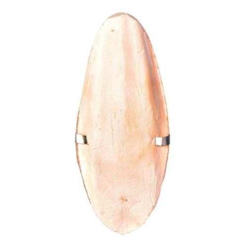 Osso di seppia