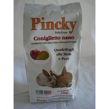 Pincky Dalla Grana - Quadrifogli mele e pere Kg.1