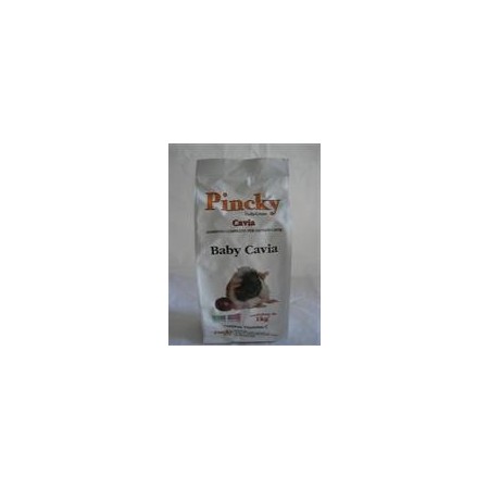 Pincky Dalla Grana Alimento Baby per giovani cavie per Kg1